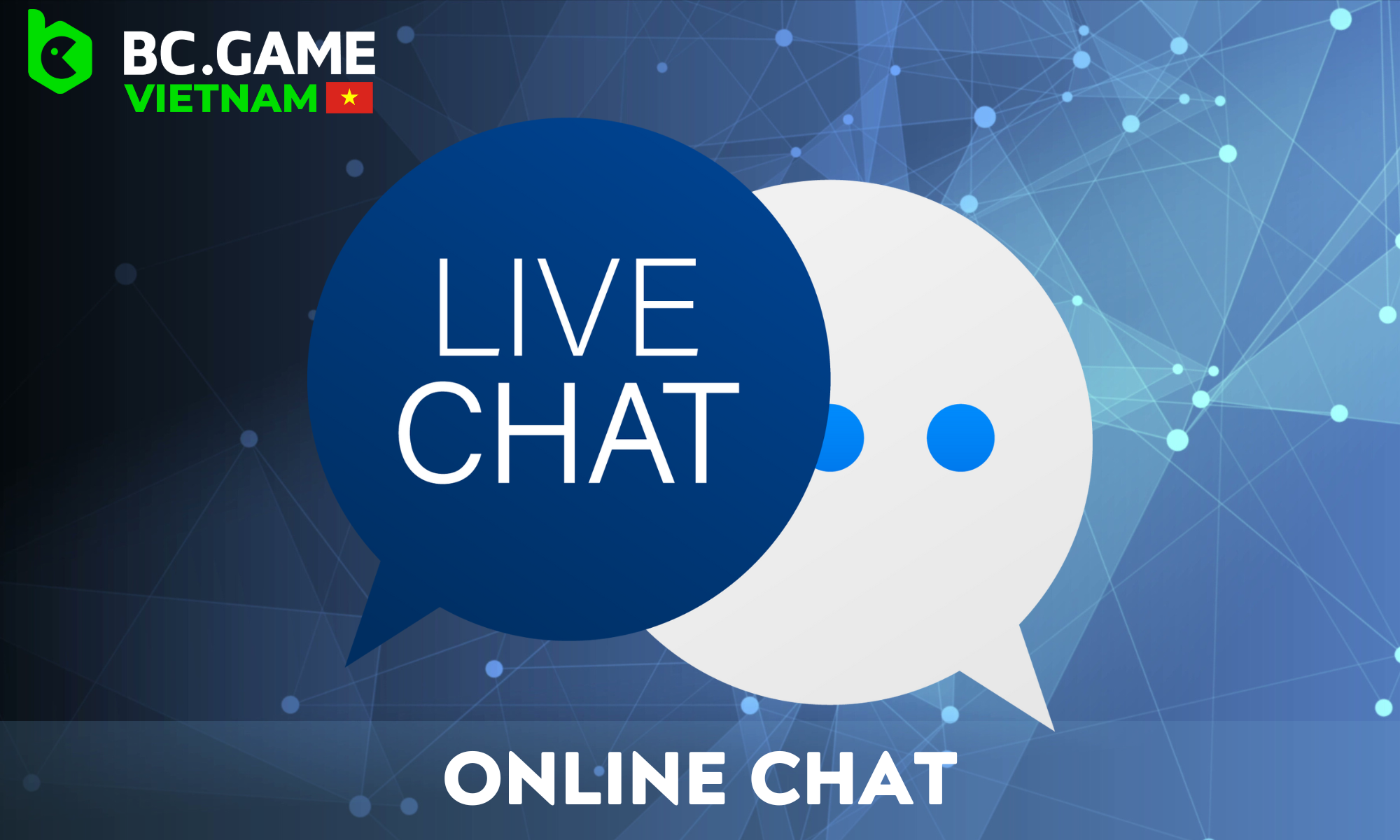 To quickly resolve issues, use the BC Game online chat